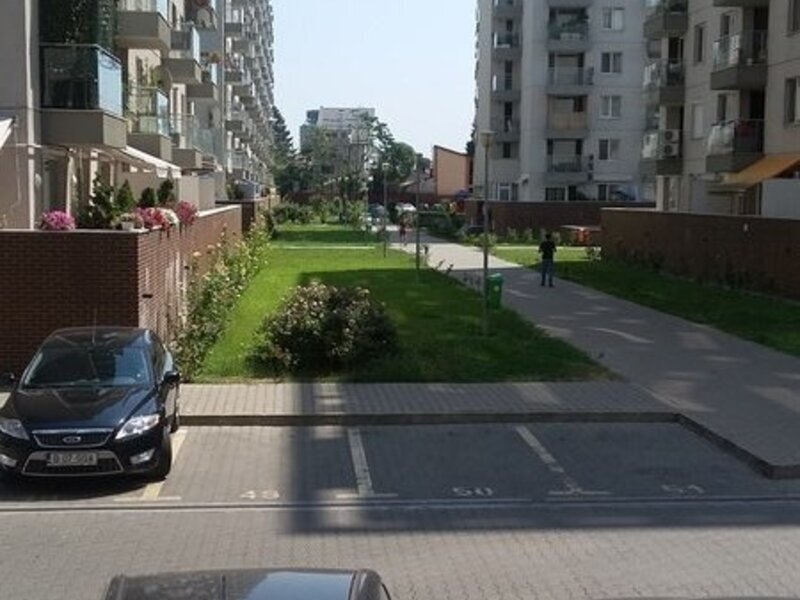 Obor, Colentina, Teiul, Doamnei, Rosegarden,